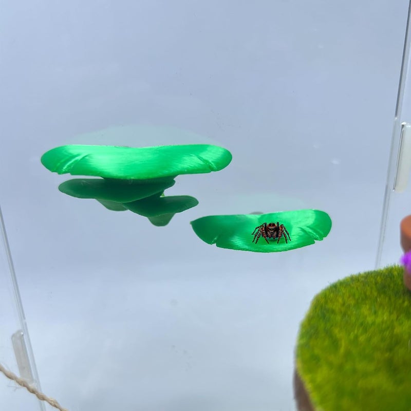 Daerky Jumping Spider Mushroom Shelf, Magnetically Concealed Jumping Spider Habitat,Serves As Enclosure Decorate Accessories for Spider Climbing Feeding and Platforms (Green) - Image 5